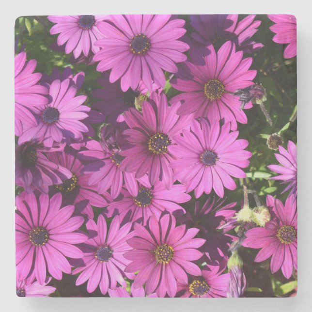 Porta-copo De Pedra Flores De Osteospermum Roxo (Frente)