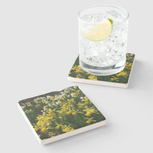 Porta-copo De Pedra Flores de primavera de Daffodils Amarelos e Branco