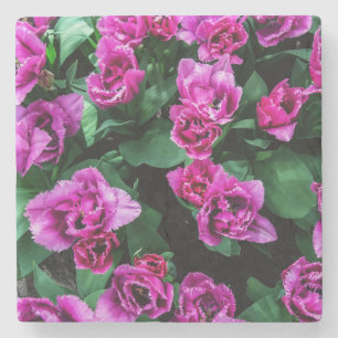 Porta-copo De Pedra Flores de tulipas rosa