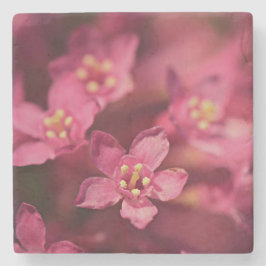 Porta-copo De Pedra Flores Rosa Bonitas