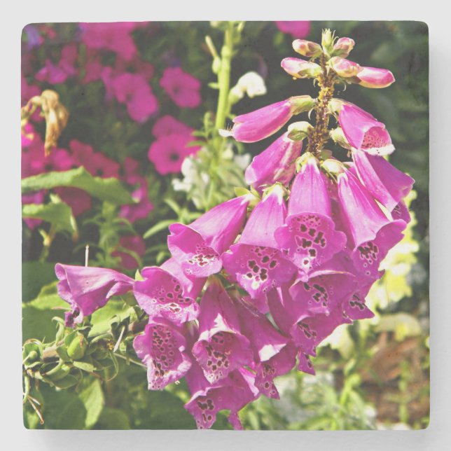 Porta-copo De Pedra Flores rosa Foxglove (Frente)