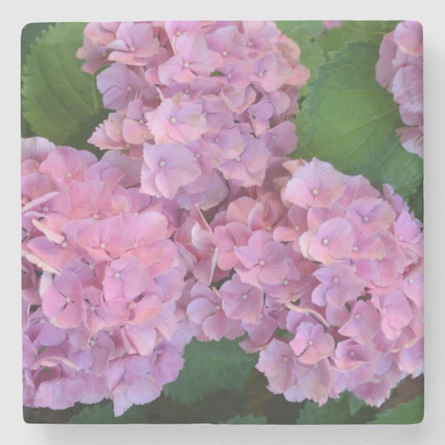 Porta-copo De Pedra Flores rosa pastel Hortensia hydrangea (Frente)