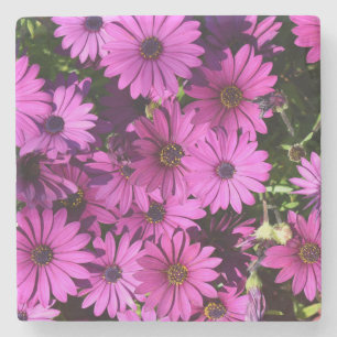 Porta-copo De Pedra Flores roxas de osteospermum