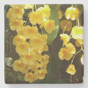 Porta-copo De Pedra Flores Tropicais das Orquídeas Amarelas