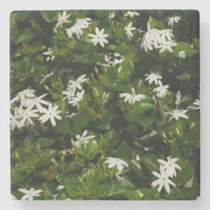 Porta-copo De Pedra Flores Tropicais De Jasmine