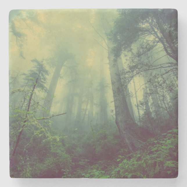 Porta-copo De Pedra Floresta De Baixo (Frente)