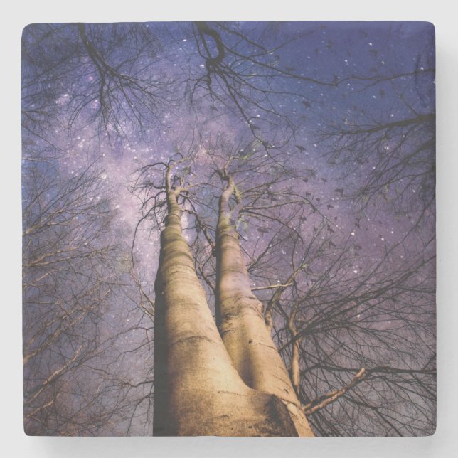 Porta-copo De Pedra Floresta Encantada (Frente)