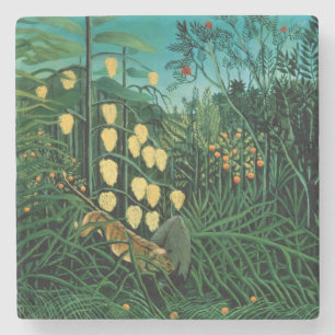 Porta-copo De Pedra Floresta tropical