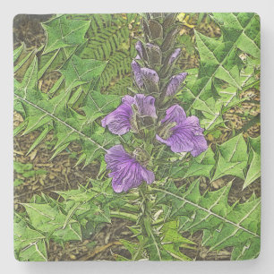 PORTA-COPO DE PEDRA FLUXAS RODAS ENTRE FOLHAS VERDE INTERESSANTES