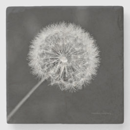 Porta-copo De Pedra Foi para a Semente