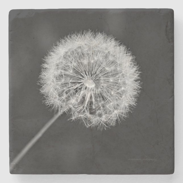 Porta-copo De Pedra Foi para a Semente (Frente)