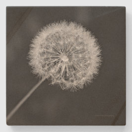 Porta-copo De Pedra Foi para a Semente