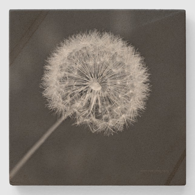 Porta-copo De Pedra Foi para a Semente (Frente)