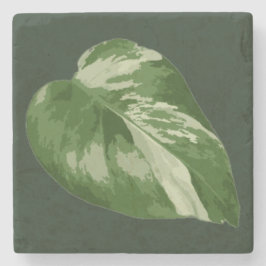 Porta-copo De Pedra Folha Tropical Elegante – Arte de Planta Rara