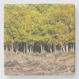 Porta-copo De Pedra Folhas Amarelas no Colorado, Porta copos Pedra