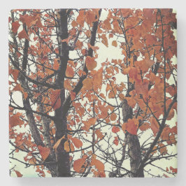 Porta-copo De Pedra Folhas de laranja