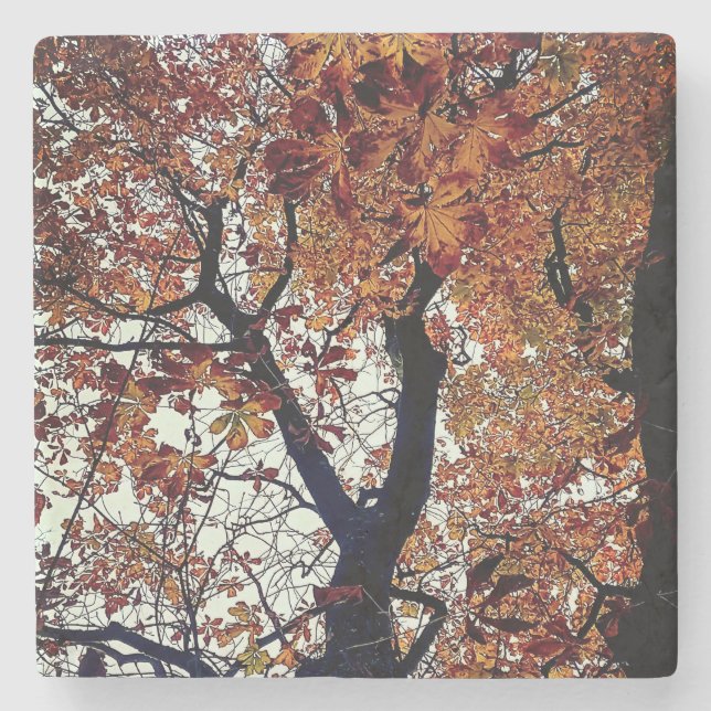 Porta-copo De Pedra Folhas de ouro (Frente)