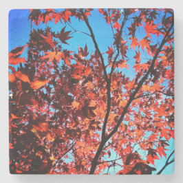 Porta-copo De Pedra Folhas de outono