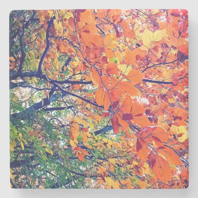 Porta-copo De Pedra Folhas laranja e verde (Frente)