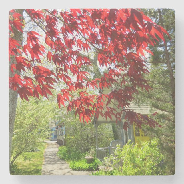 Porta-copo De Pedra Folhas Vermelhas e Caminho de Martha (Frente)
