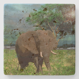 Porta-copo De Pedra "Força Serena: O Elefante Macho Pastando"