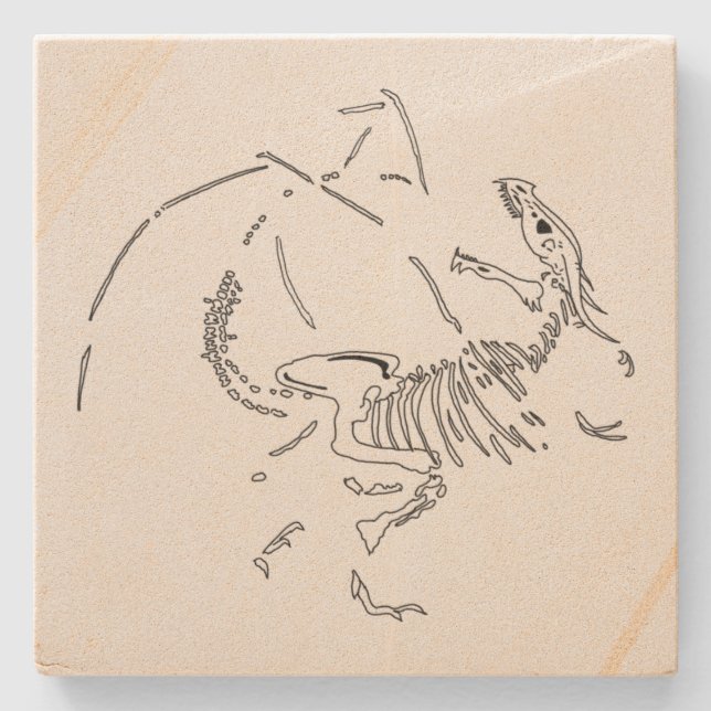 Porta-copo De Pedra Fósseis do Dragão (Frente)