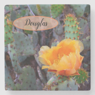 Porta-copo De Pedra Foto do Flor do Opuntia Pera Laranja