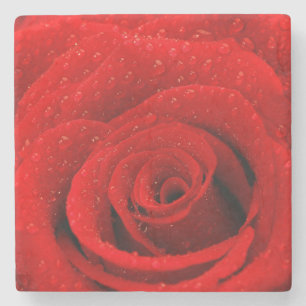 Porta-copo De Pedra Foto do fundo da rosa vermelha