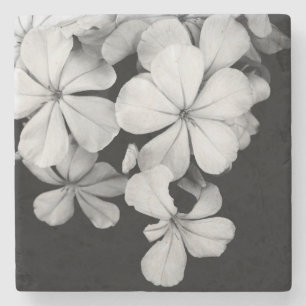 Porta-copo De Pedra Fotografia de Flores em Preto e Branco
