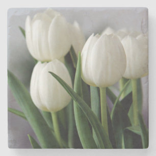 Porta-copo De Pedra Fotografia de Tulipas e Flores Rosa