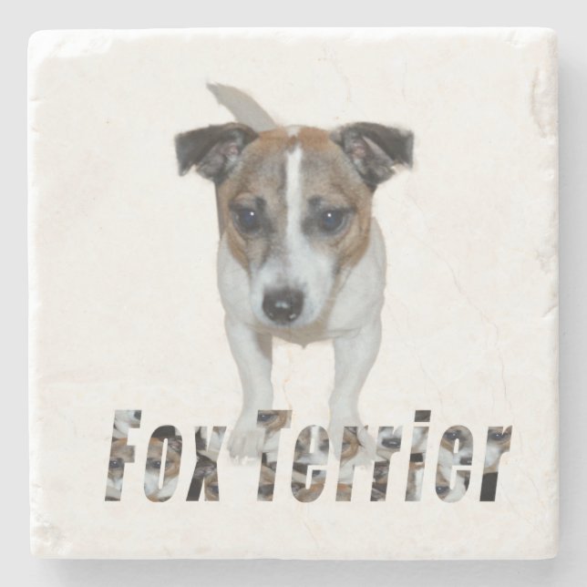 Porta-copo De Pedra Fox Terrier E Fox Terrier Logo, (Frente)