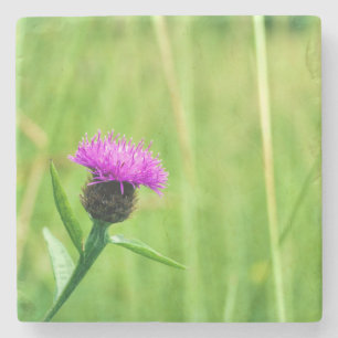 Porta-copo De Pedra Frequente raptada