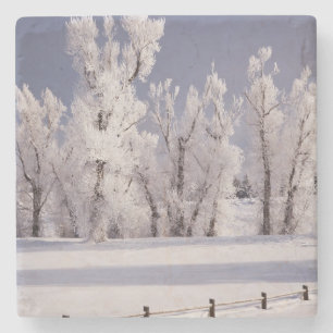 Porta-copo De Pedra Frost cobriu árvores e cerca, Colorado