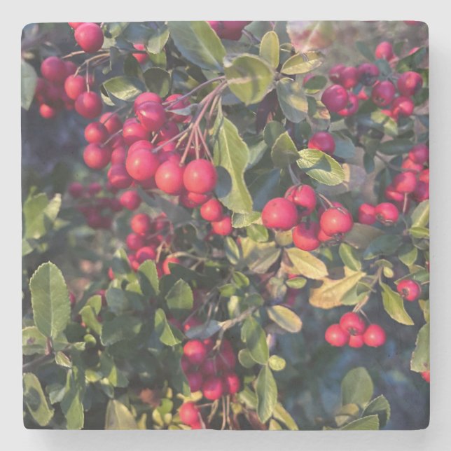 Porta-copo De Pedra Fruta de outono (Frente)