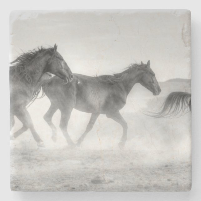 Porta-copo De Pedra Funcionamento do mustang (Frente)