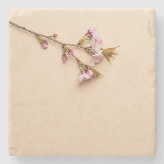 Porta-copo De Pedra Fundo de Flor de Cerejeira e Margarida