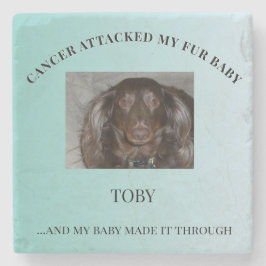 Porta-copo De Pedra Fur Baby Courage & Healing Design