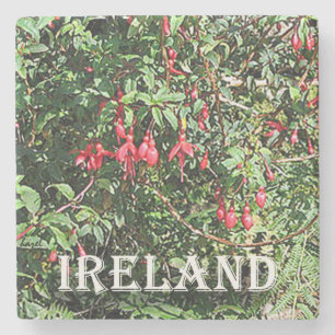 Porta-copo De Pedra Fuschia, Ireland, Coaster. de mármore