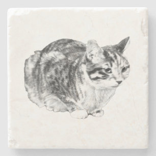 Porta-copo De Pedra Galeria Pequena: Tabby em Cushion