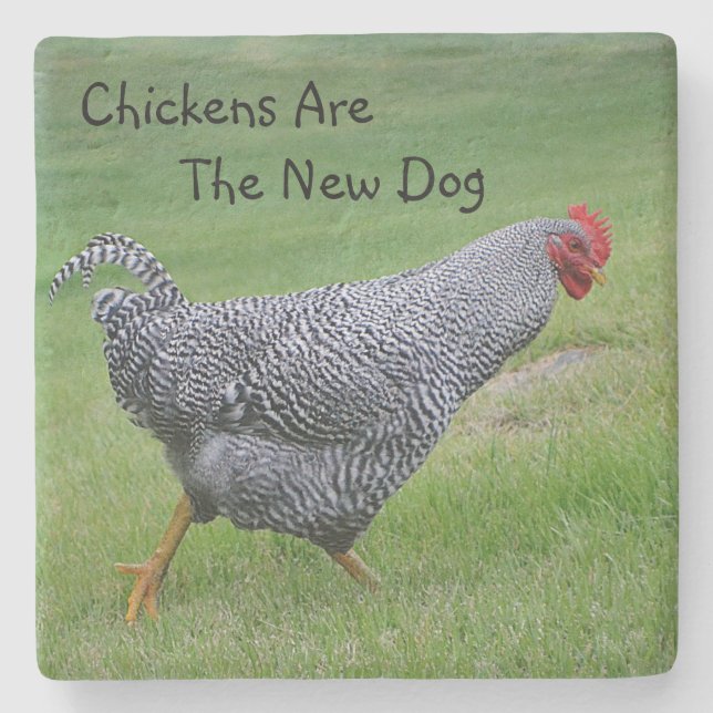 Porta-copo De Pedra Galinhas São O Novo Cão (Frente)