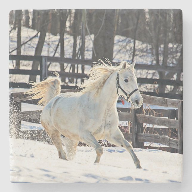 Porta-copo De Pedra Galloping White Horse (Frente)