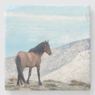 Porta-copo De Pedra Garanhão Mustang Selvagem
