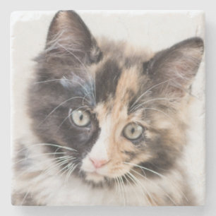 Porta-copo De Pedra Gatinho adorável da chita