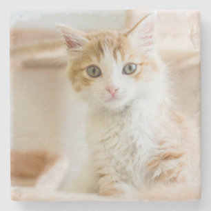Porta-copo De Pedra Gatinho alaranjado & branco