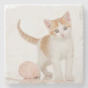 Porta-copo De Pedra Gatinho ao lado da bola da corda