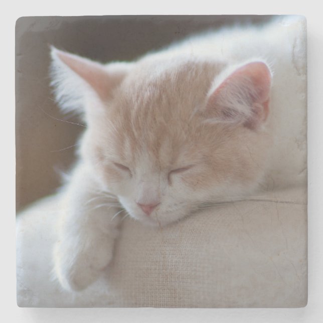 Porta-copo De Pedra Gatinho bege e branco cansado (Frente)