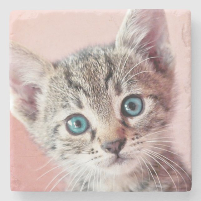 Porta-copo De Pedra Gatinho bonito com olhos azuis (Frente)