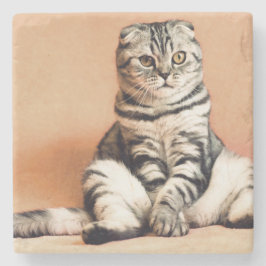 Porta-copo De Pedra Gatinho Bonito Desenterrado