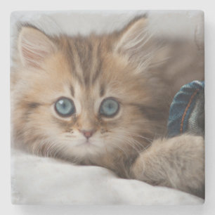 Porta-copo De Pedra Gatinho com olhos azuis