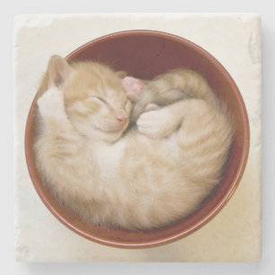 Porta-copo De Pedra Gatinho do sono